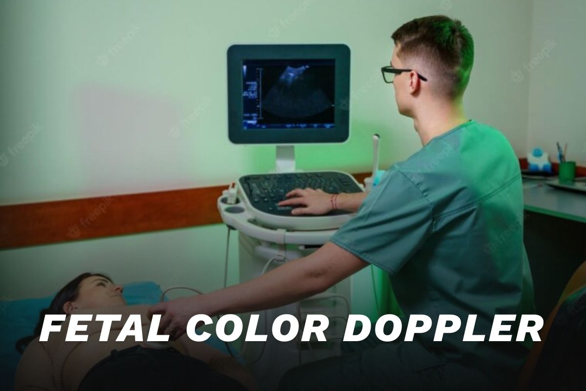 Fetal Color Dopler